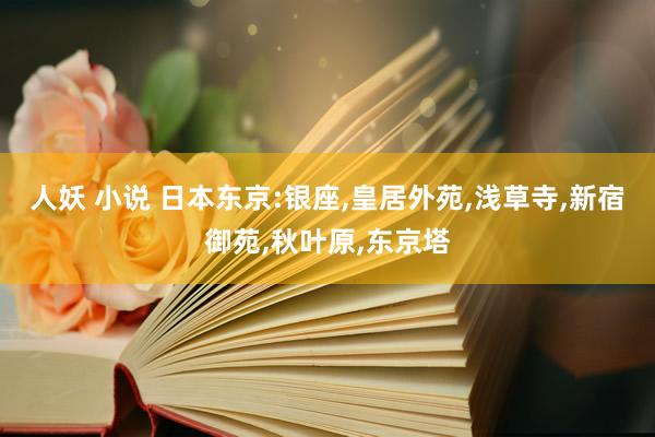 人妖 小说 日本东京:银座，皇居外苑，浅草寺，新宿御苑，秋叶原，东京塔