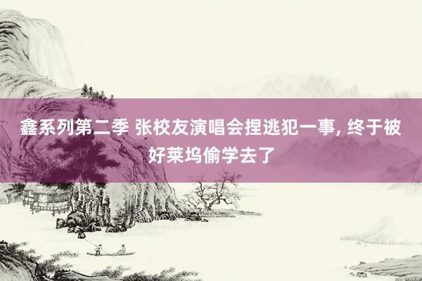鑫系列第二季 张校友演唱会捏逃犯一事， 终于被好莱坞偷学去了