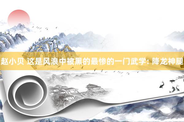 赵小贝 这是风浪中被黑的最惨的一门武学: 降龙神腿